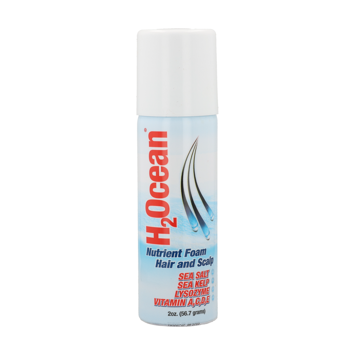 Nutrient Foam - Hair and Scalp 2oz